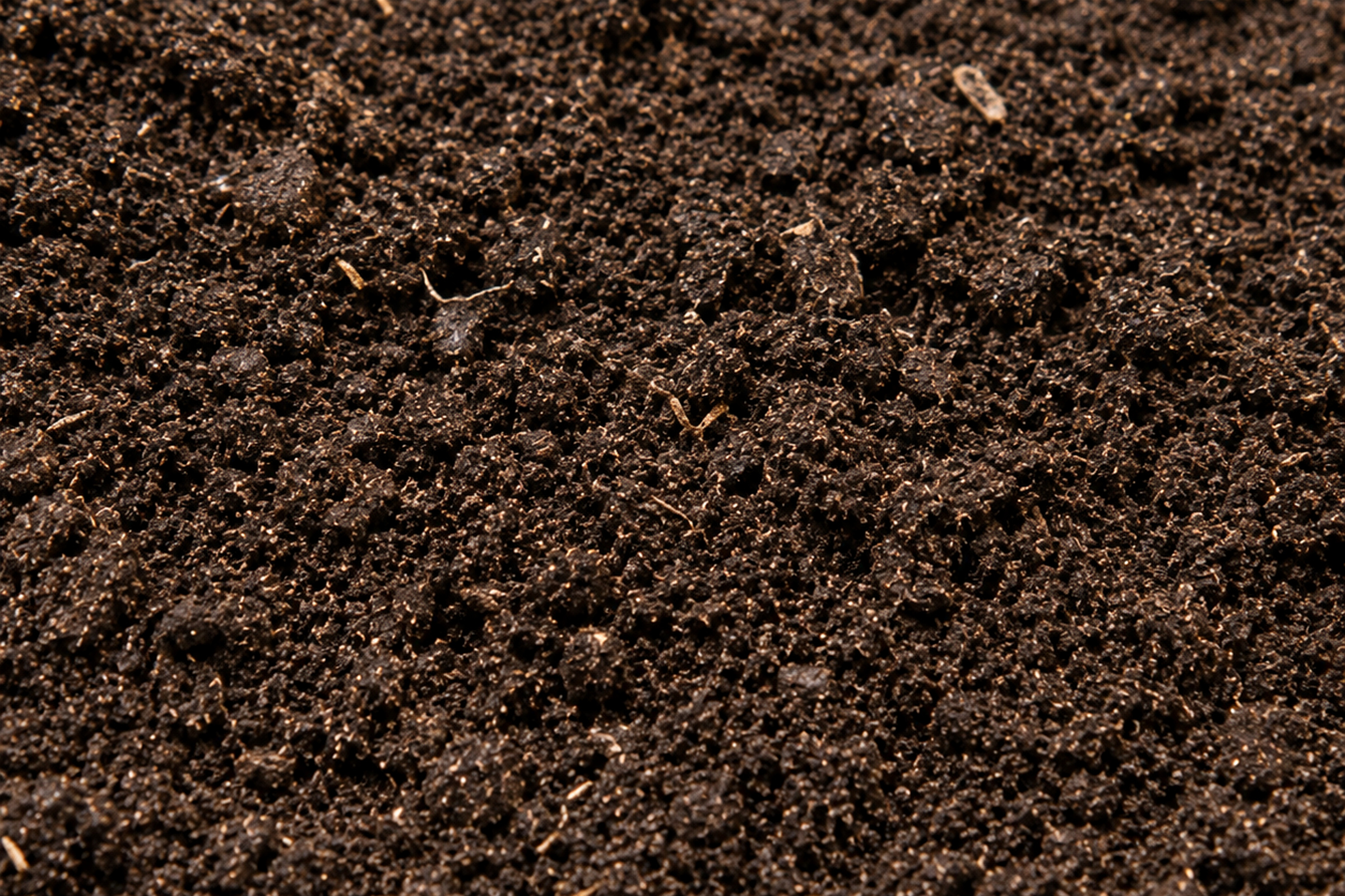 Topsoil